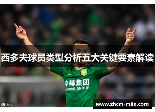 西多夫球员类型分析五大关键要素解读