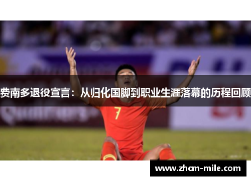 费南多退役宣言：从归化国脚到职业生涯落幕的历程回顾